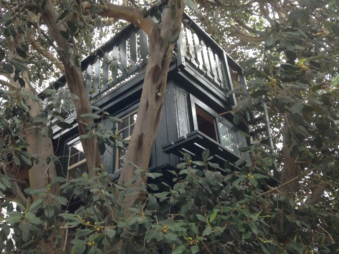 Cozy Treehouse with Firepit, California