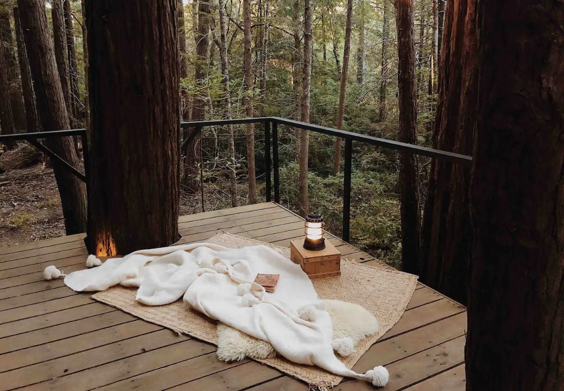 Soothing Retreat in the Redwoods, California