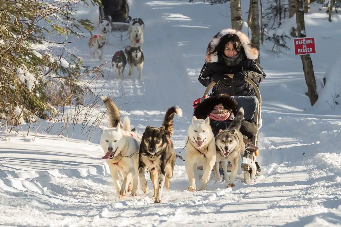 Sledding with Eskimo dogs in Quebec, Canada