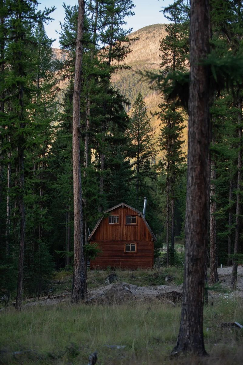 Rustic Cabin in the Pines, Montana