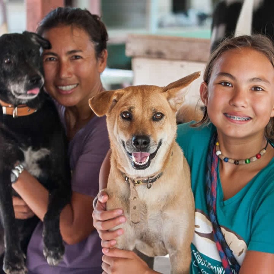 Worldwide Veterinary Service formerly Care For Dogs, Thailand