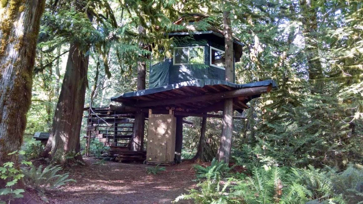 Affordable Treehouse for Glamping, Washington