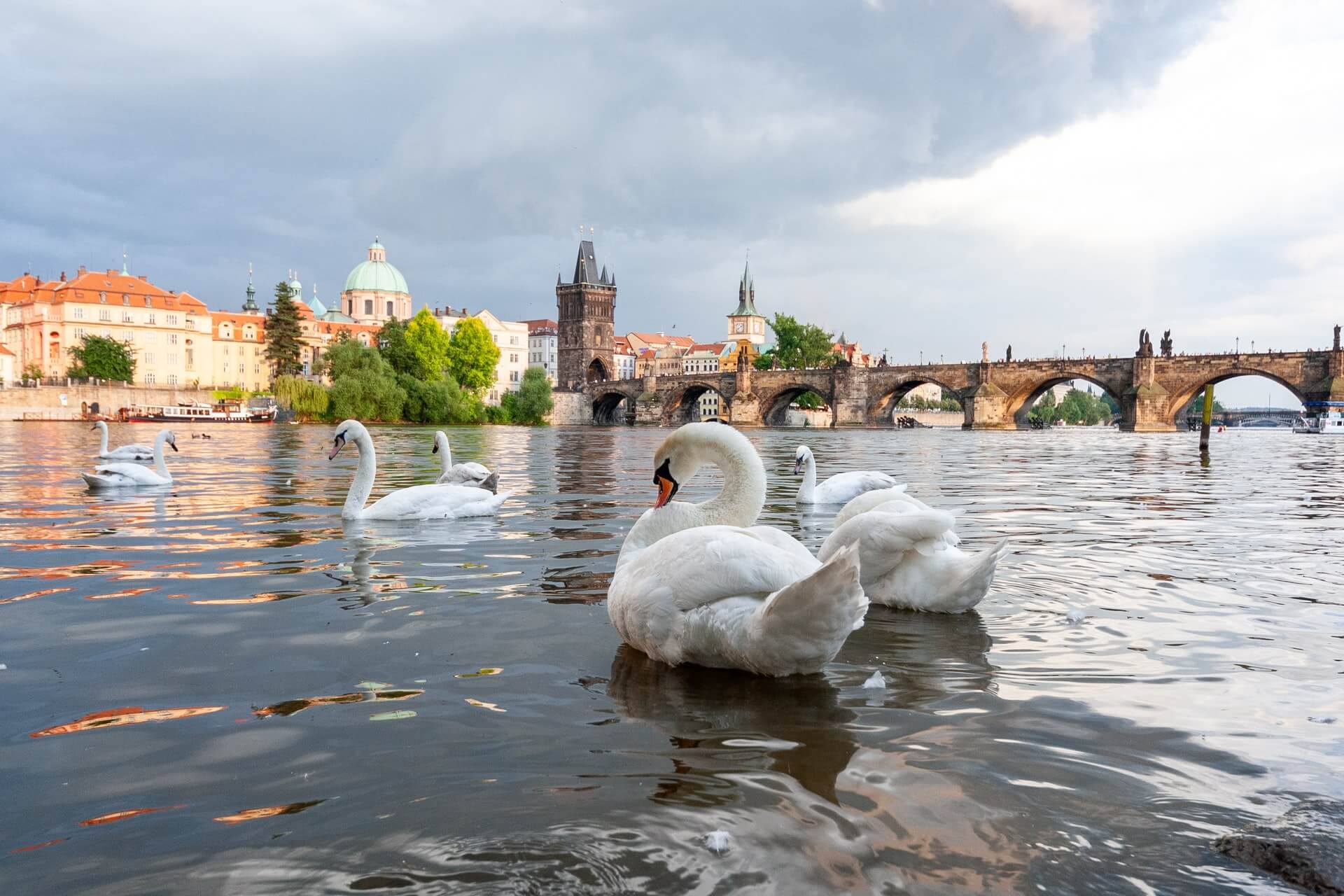 tourist guide in prague