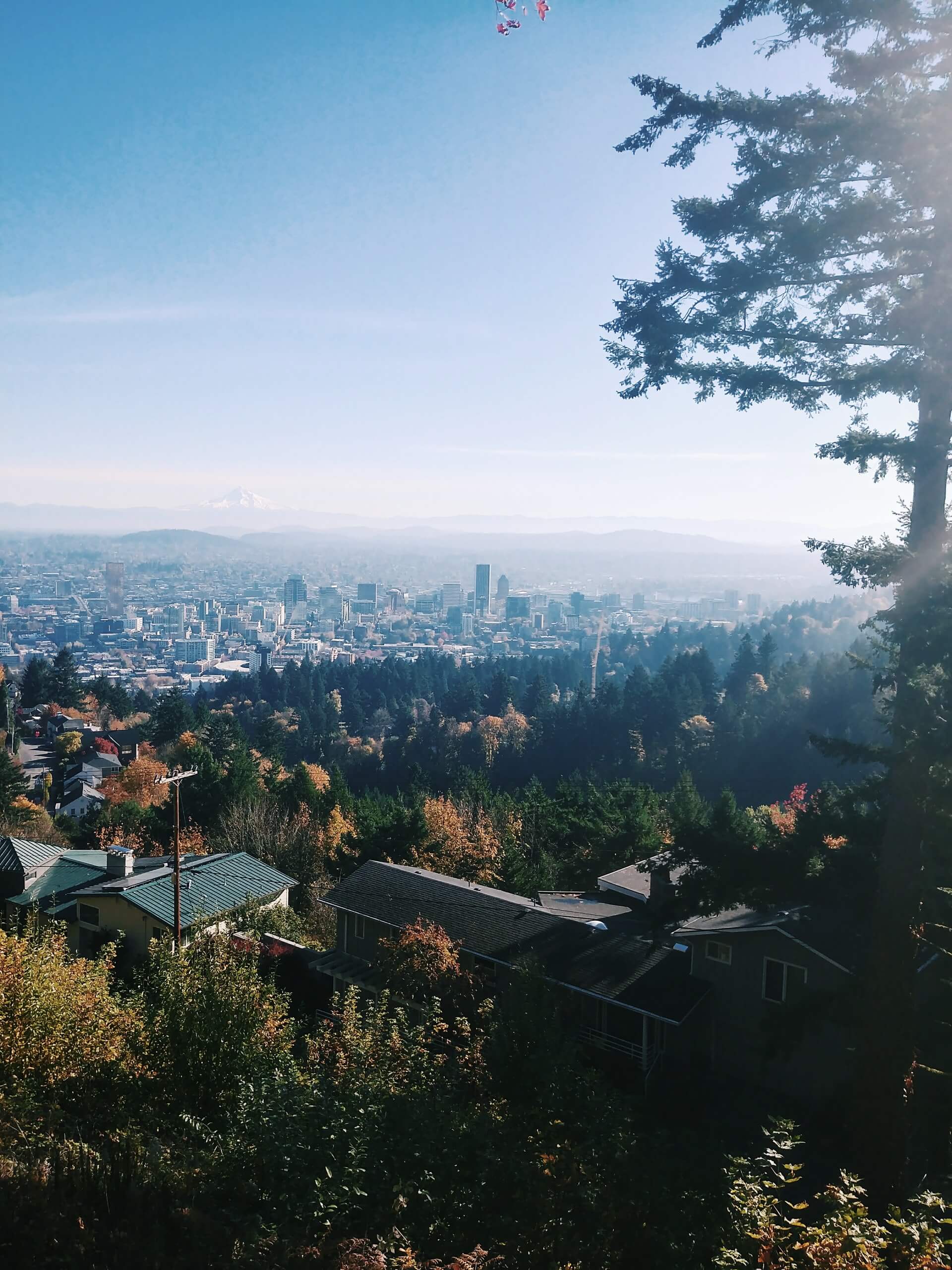 portland skyline scenes of mt hood in the background