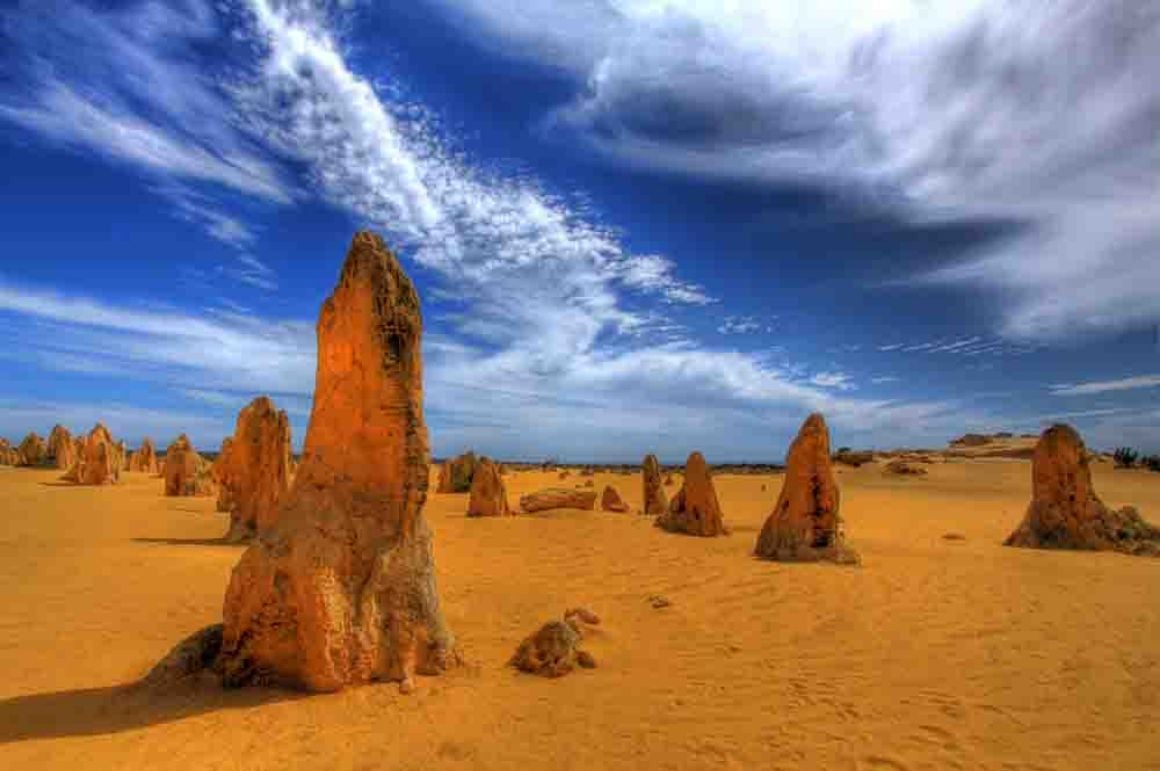 Day Trip to Pinnacles Desert