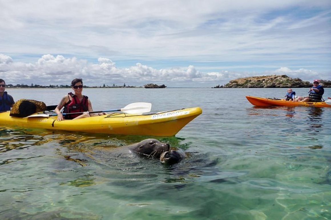 Day Trip to Shoalwater