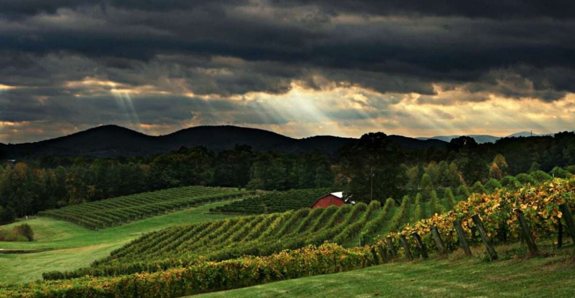 Day Trips to North Georgia Wine Country