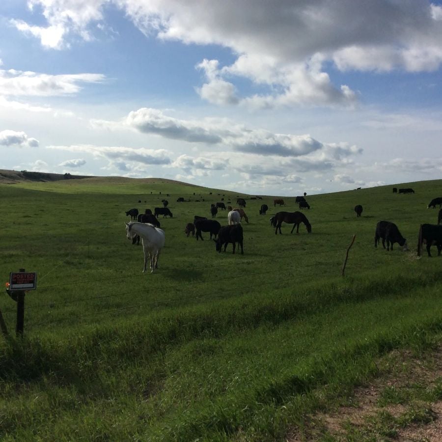 Alfalfa Field Glamping, Nebraska 