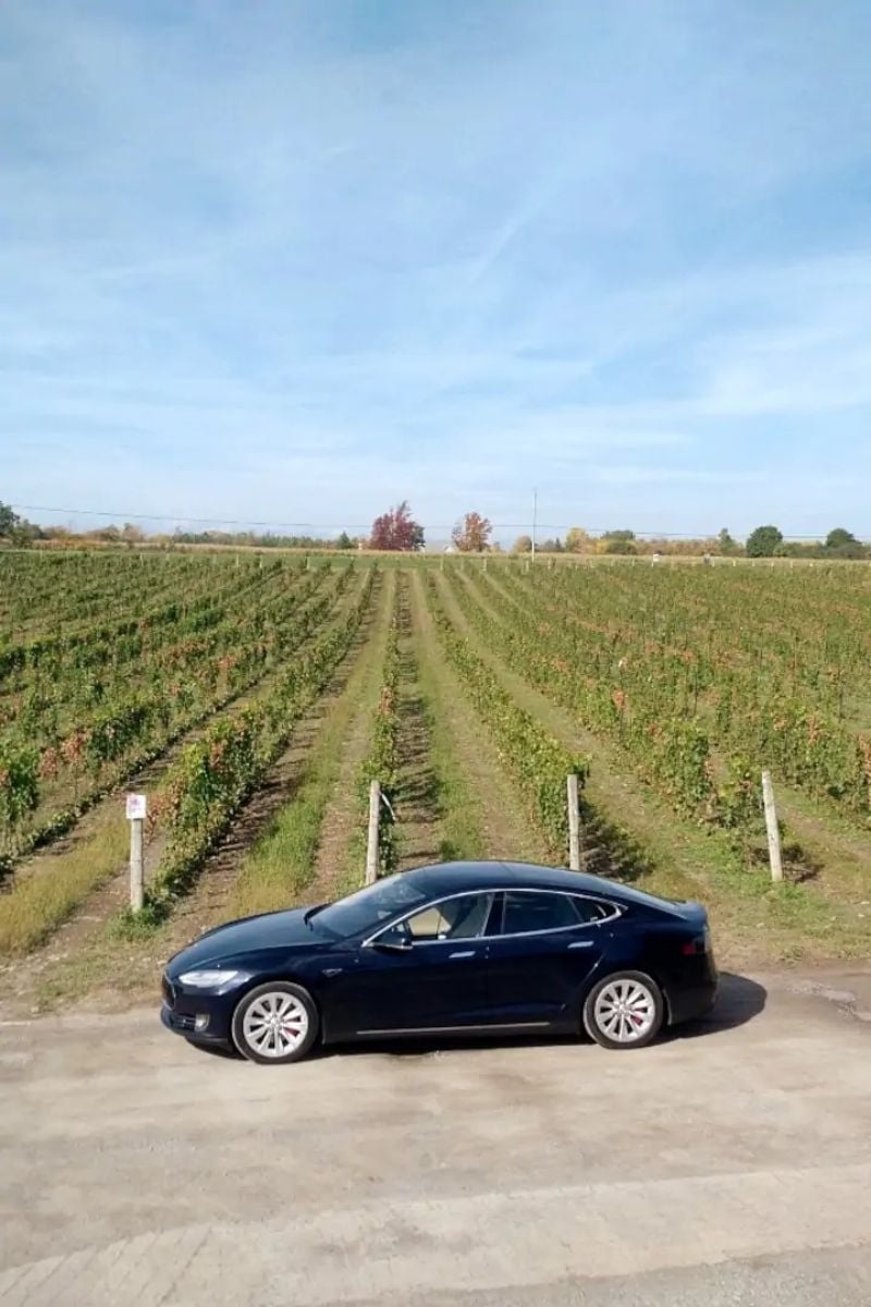 Tesla Wine Tour, Ontario 