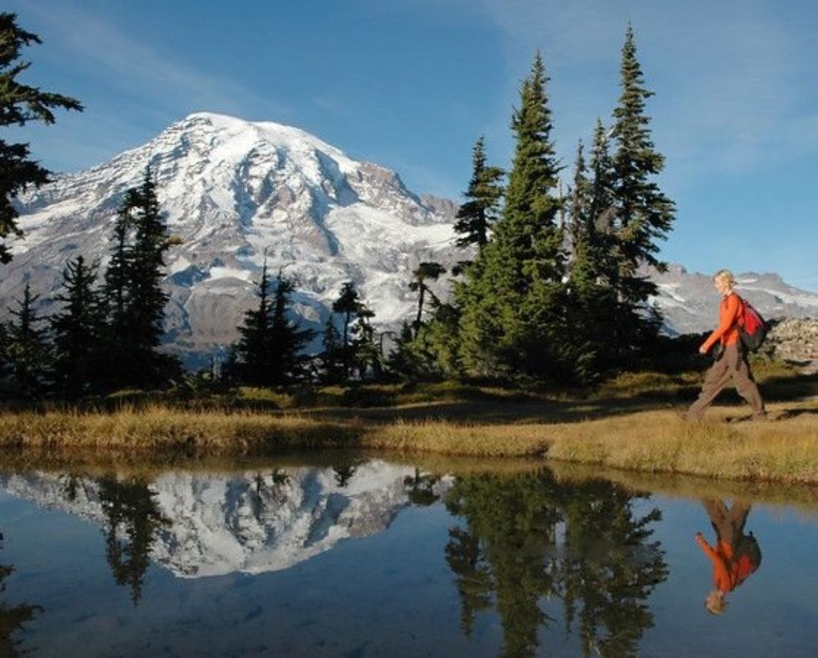 Mount Rainier Park All Inclusive Small Group Tour, Seattle