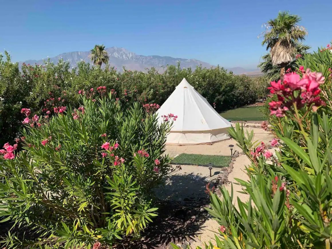 Desert Stargazer, Southern California