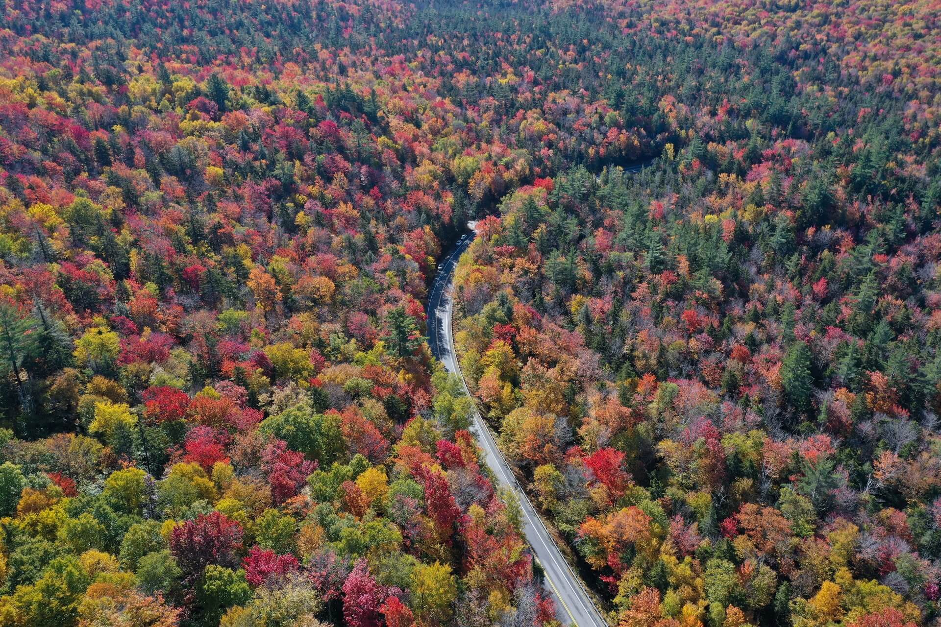 red yellow green and orange trees as seen from a drone on an east coast road trip