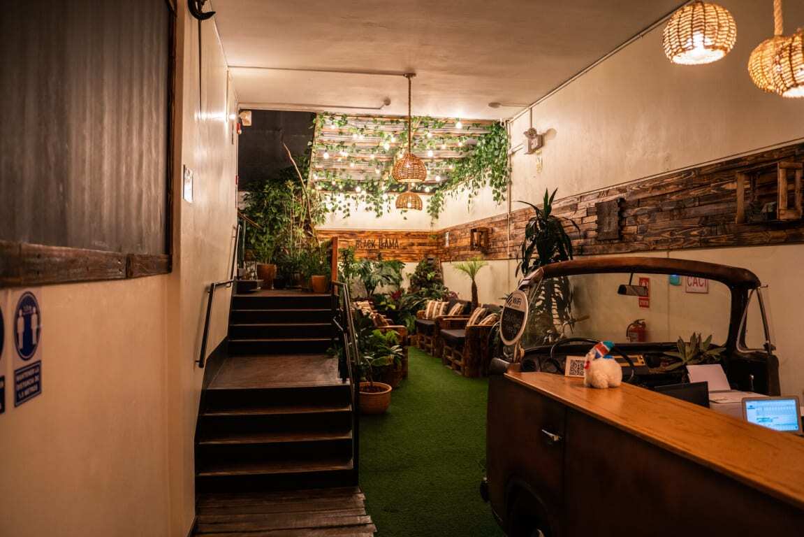 Black Llama Hostel Miraflores, Lima