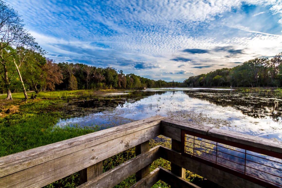 Brazos Bend State Park Needville TX Shutterstock