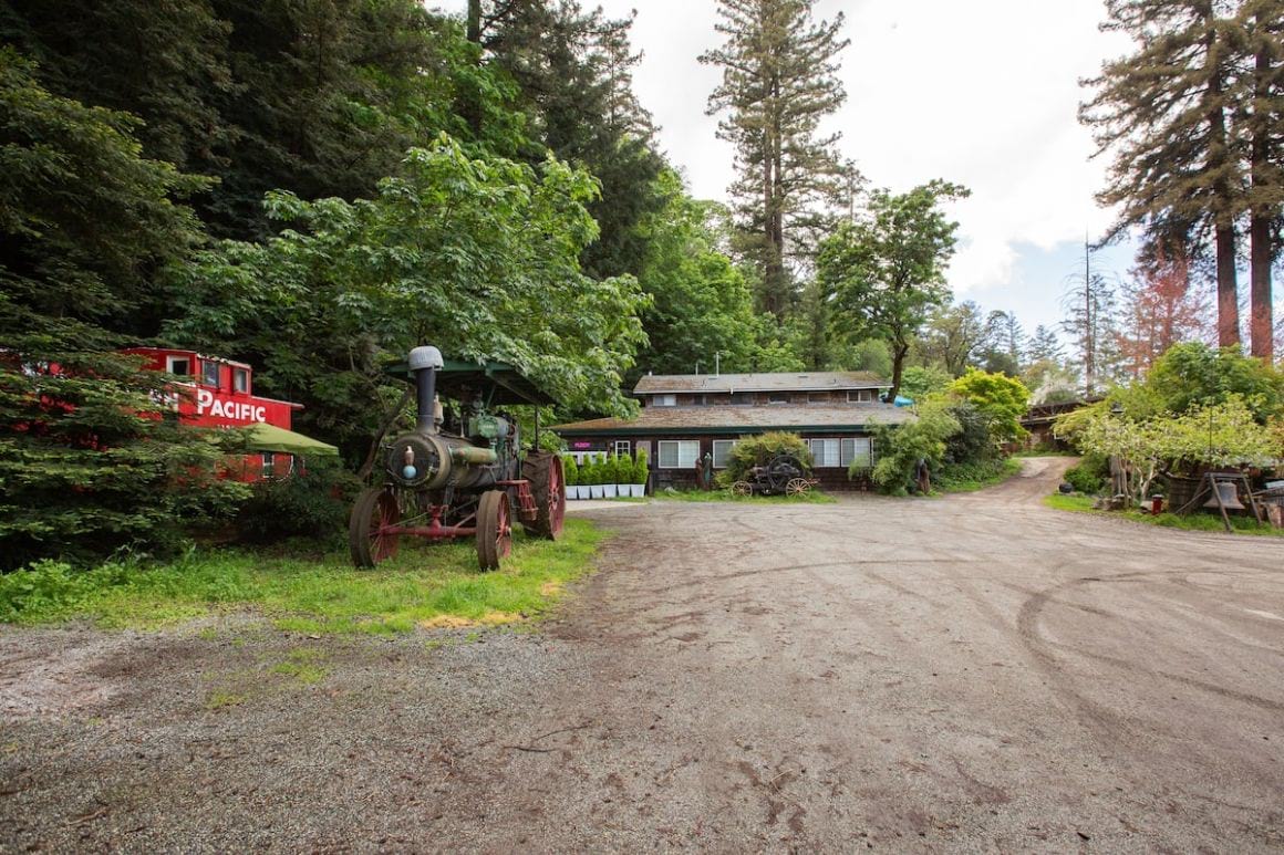 Caboose in the Redwoods