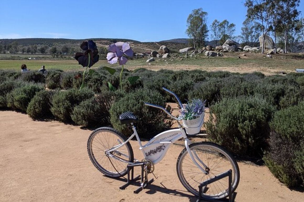 Day Trip to Valle de Guadalupe Mexico