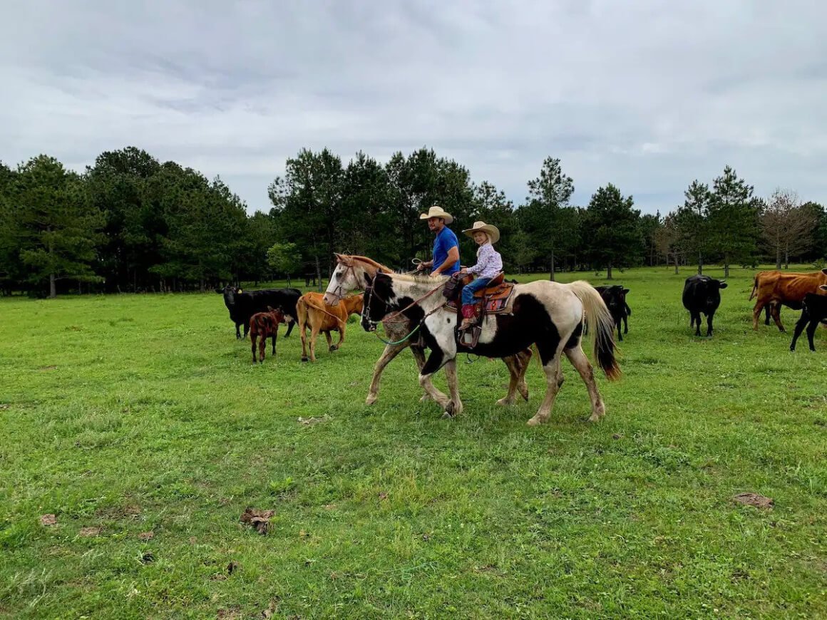 Day Trip to Waller County