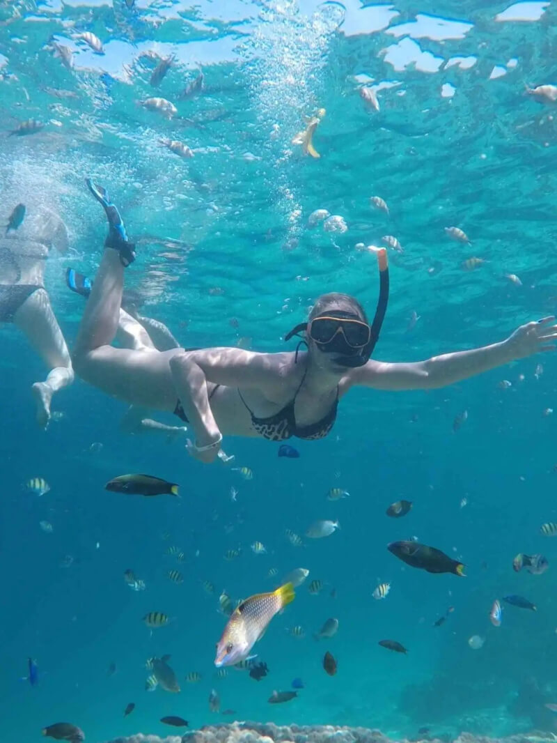 Discover the underwater wonders of Phi Phi Islands