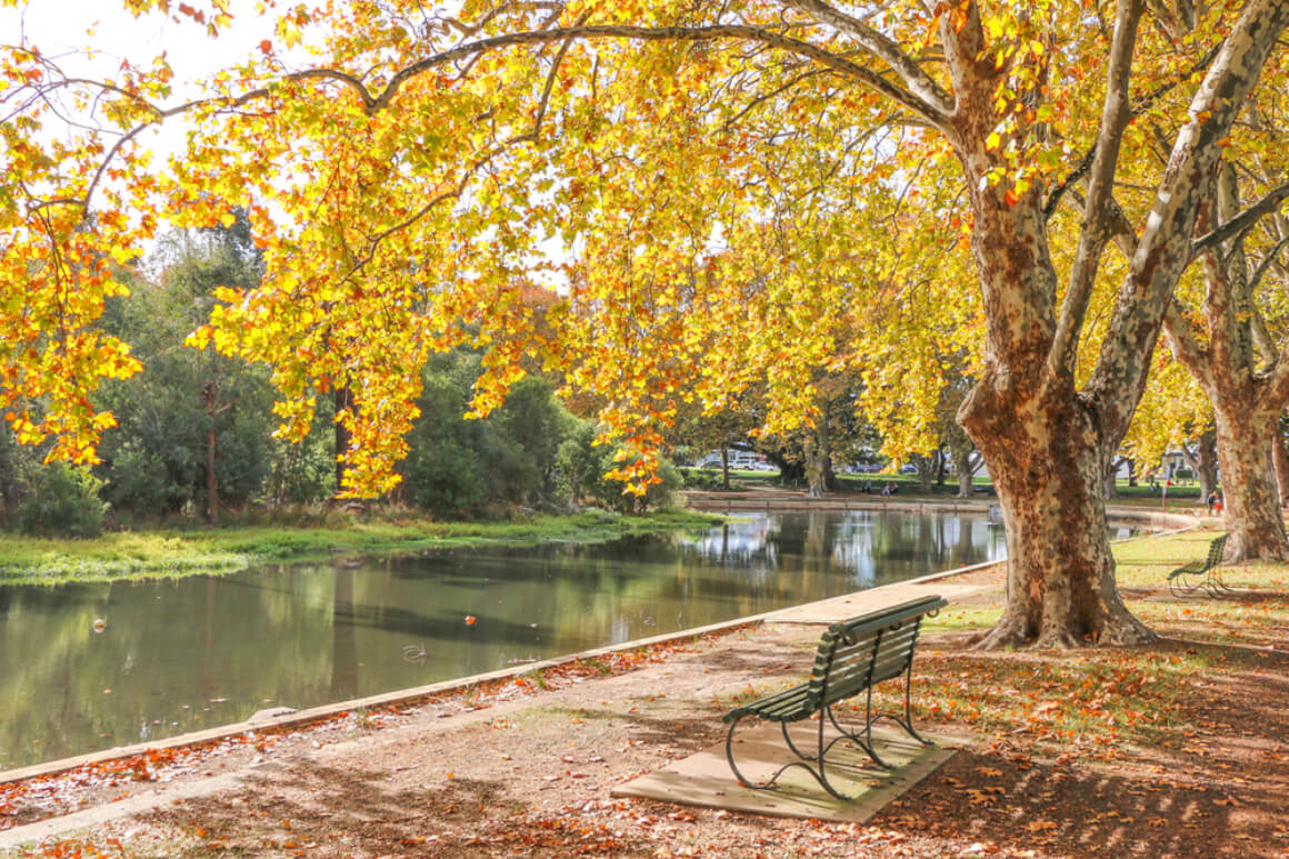 Hyde Park Perth Shutterstock