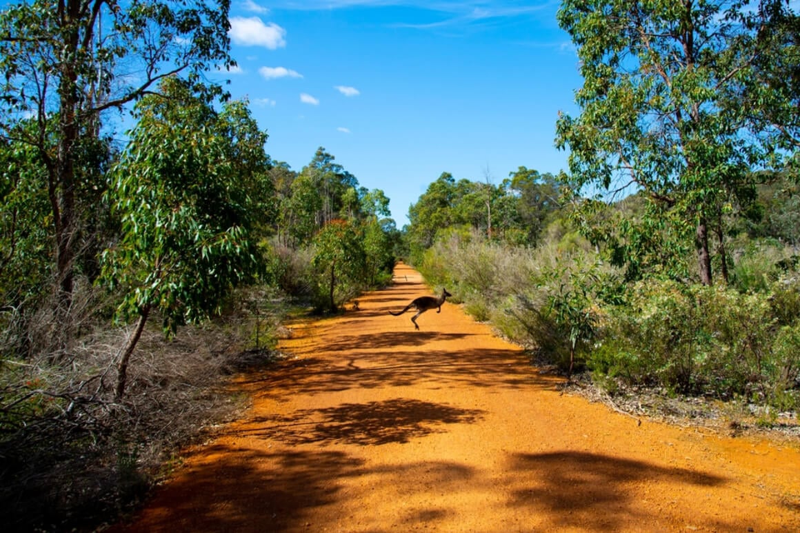 John Forrest National Park