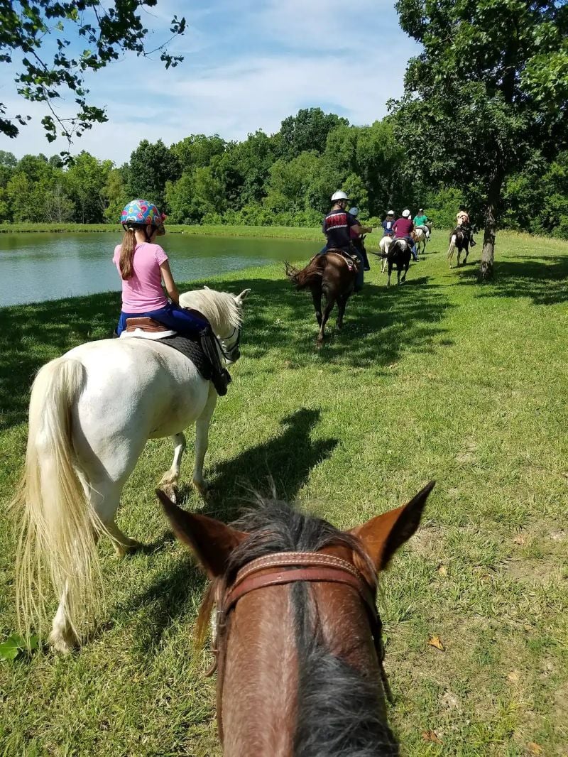 Half day Trip to LaCygne KS, Kansas City 