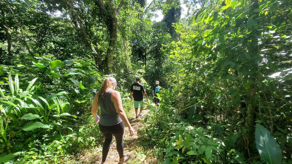 Hike to El Yunque Rainforest and Enjoy the Waterfall, Puerto Rico 