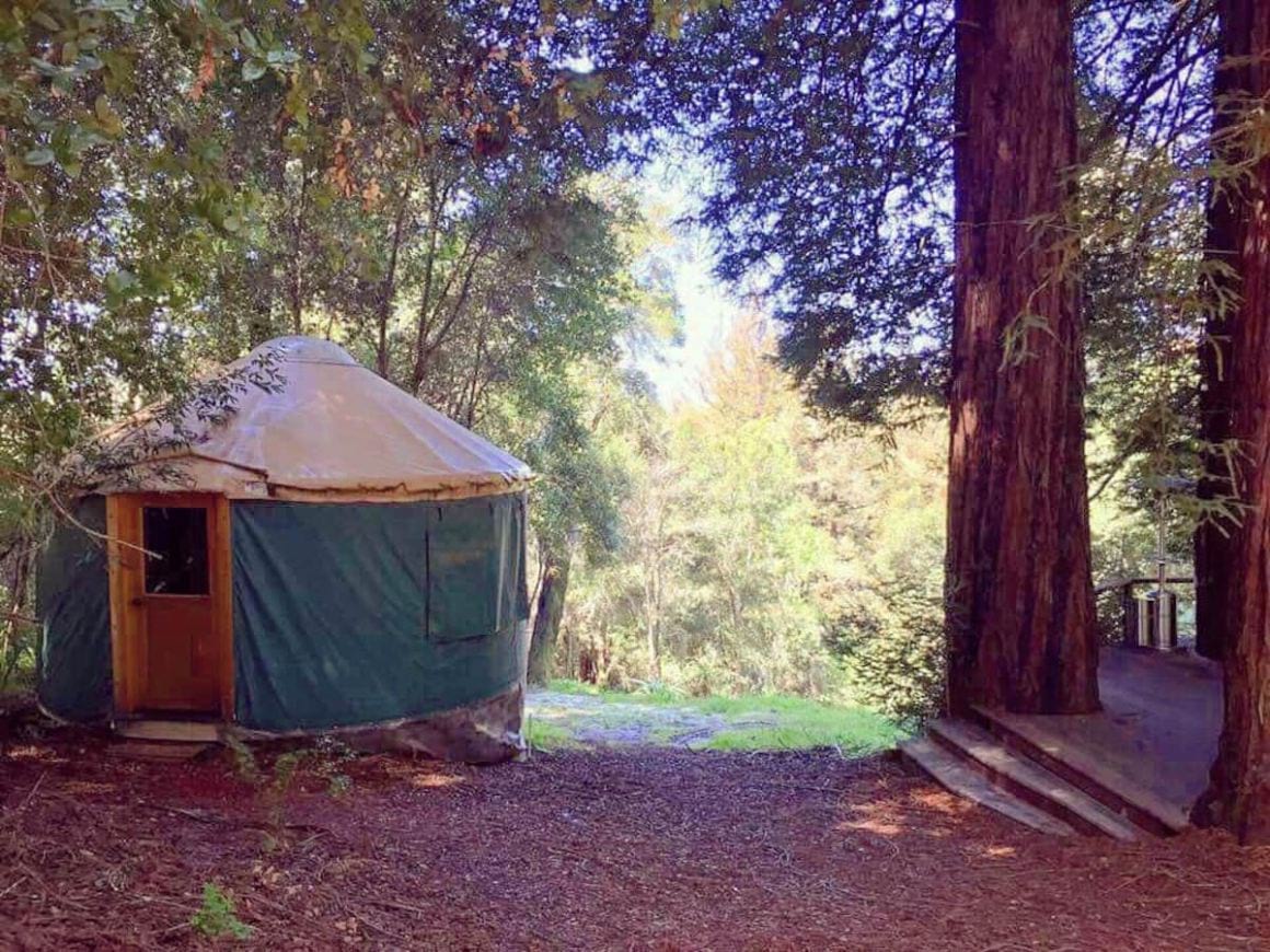 Redwood Yurt in Aptos Mountain