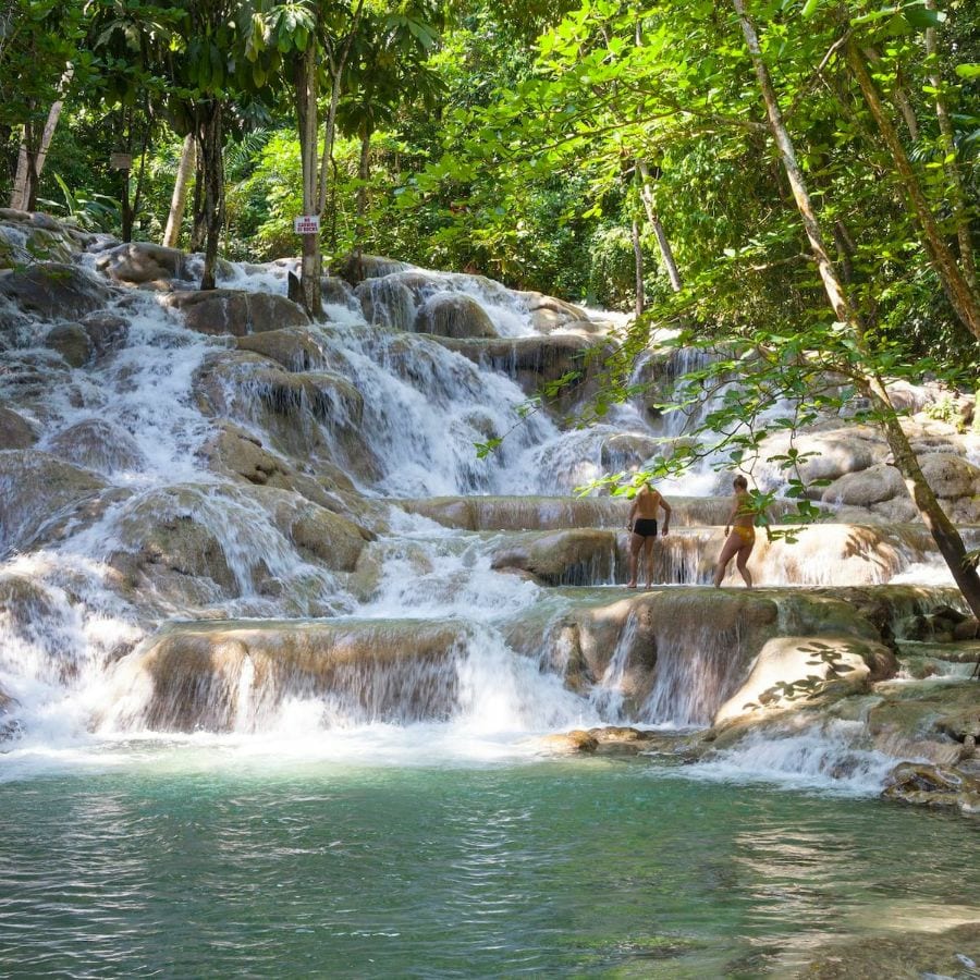 Retrace Bob Marleys Life in Jamaica and Visit Dunns River Falls