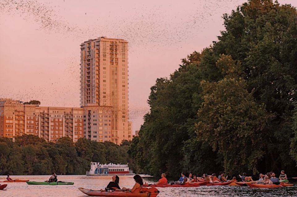 Sunset Bat Watching with Kayak Tour