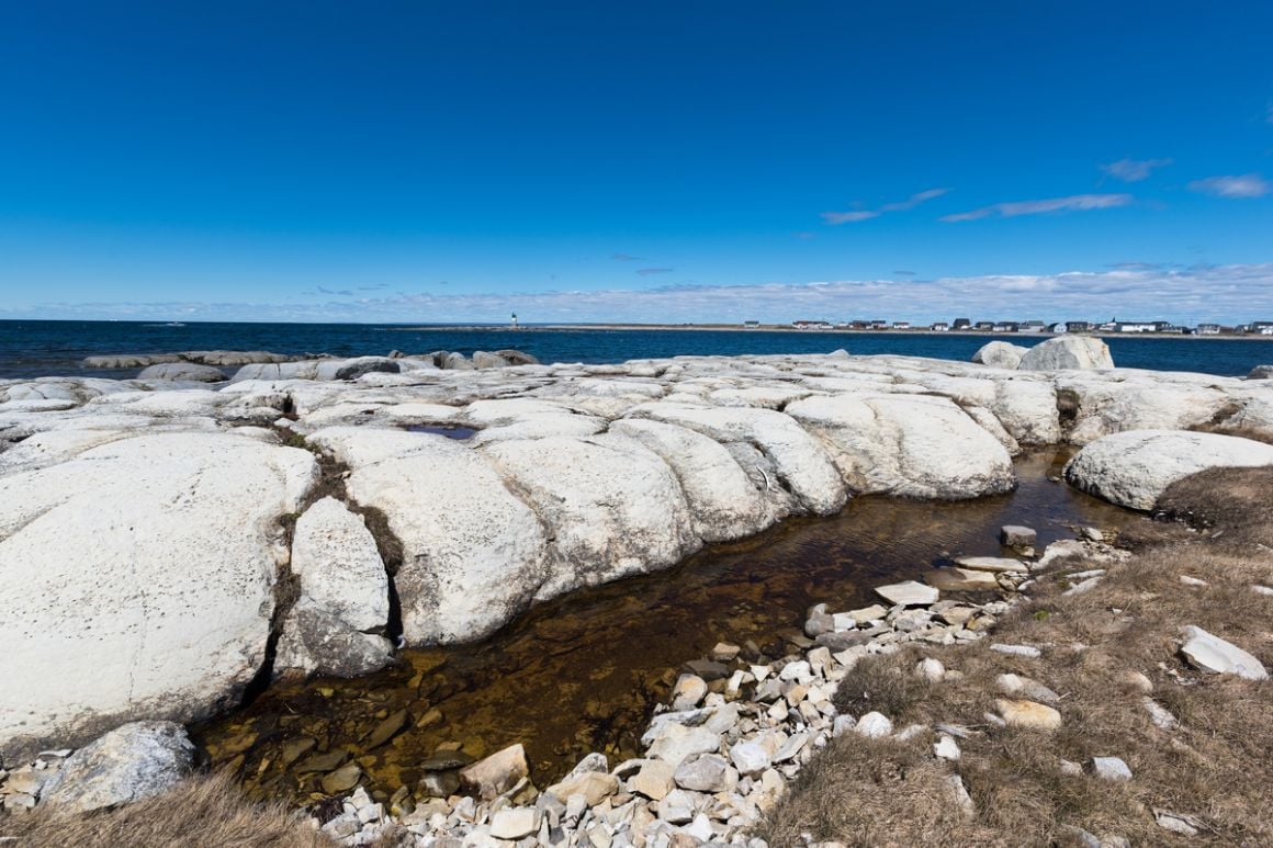 Thrombolites Flowers Cove Canada