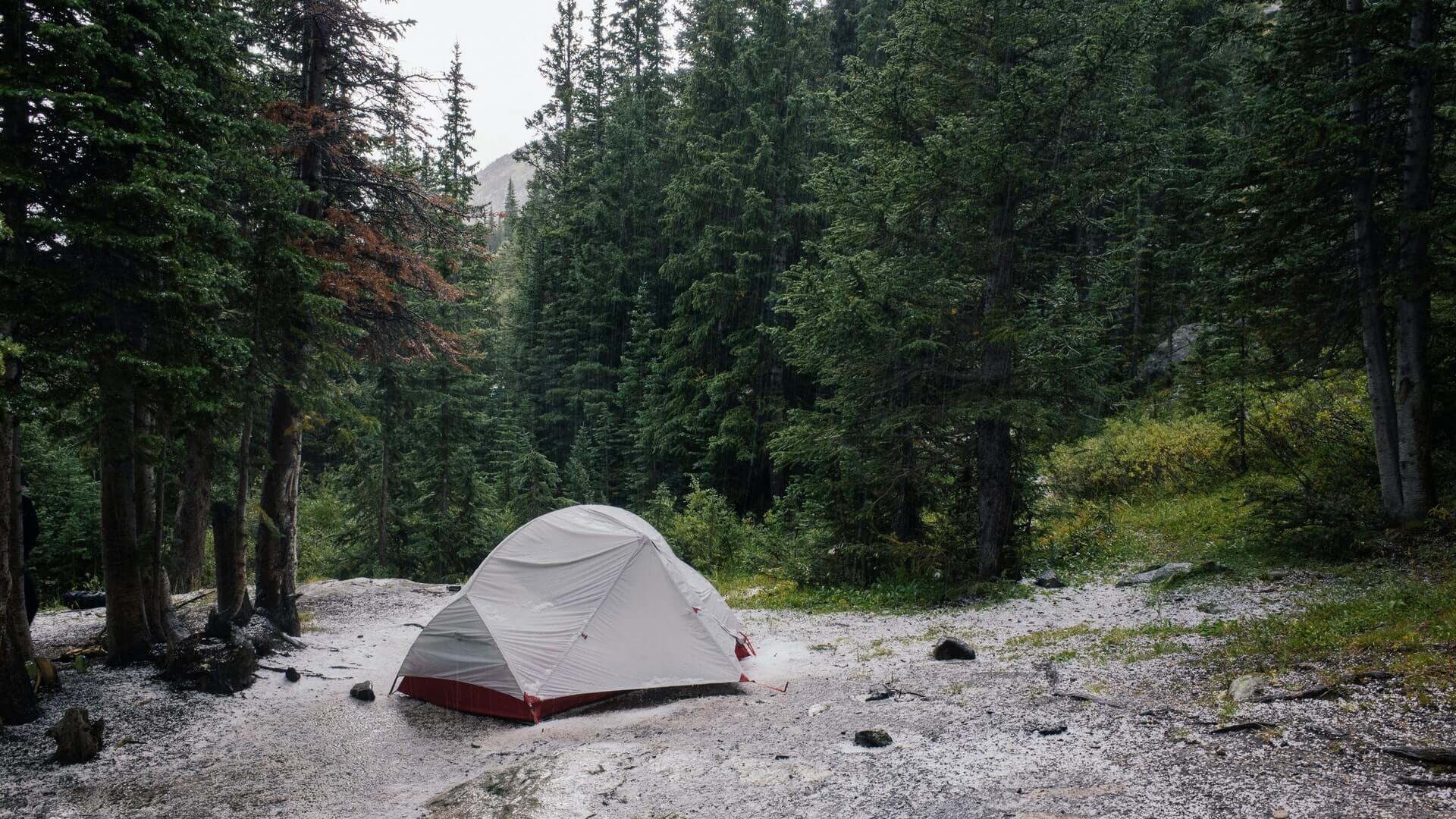 tent in woods in colorado in green forest