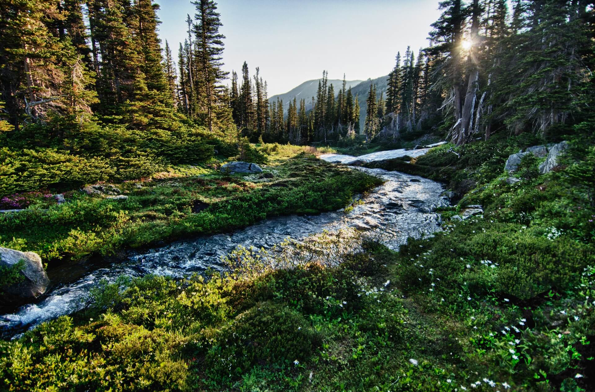 Olympic National Park in Washington
