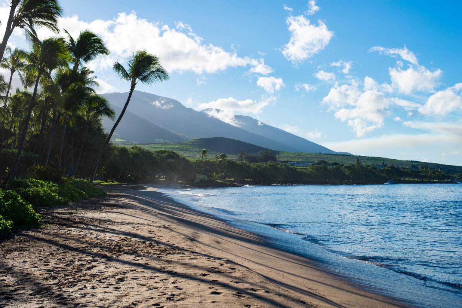 gorgeous beach landscape in hawaii