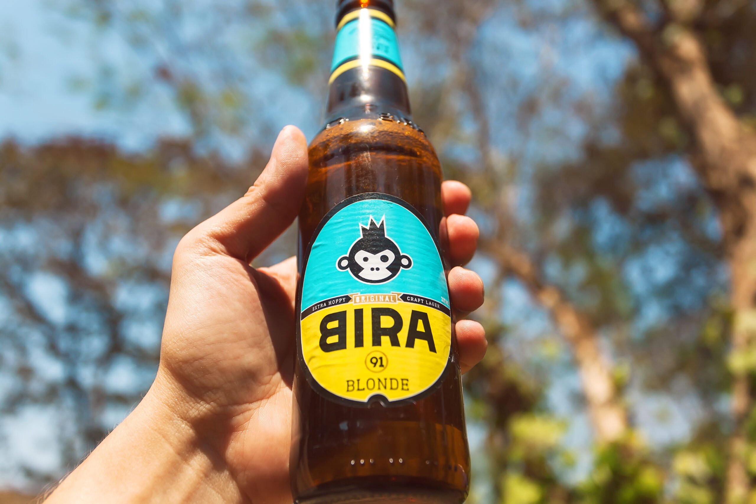 Bira in Goa - Goa Nightlife Guide