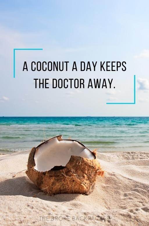 A coconut a day keeps the doctor away