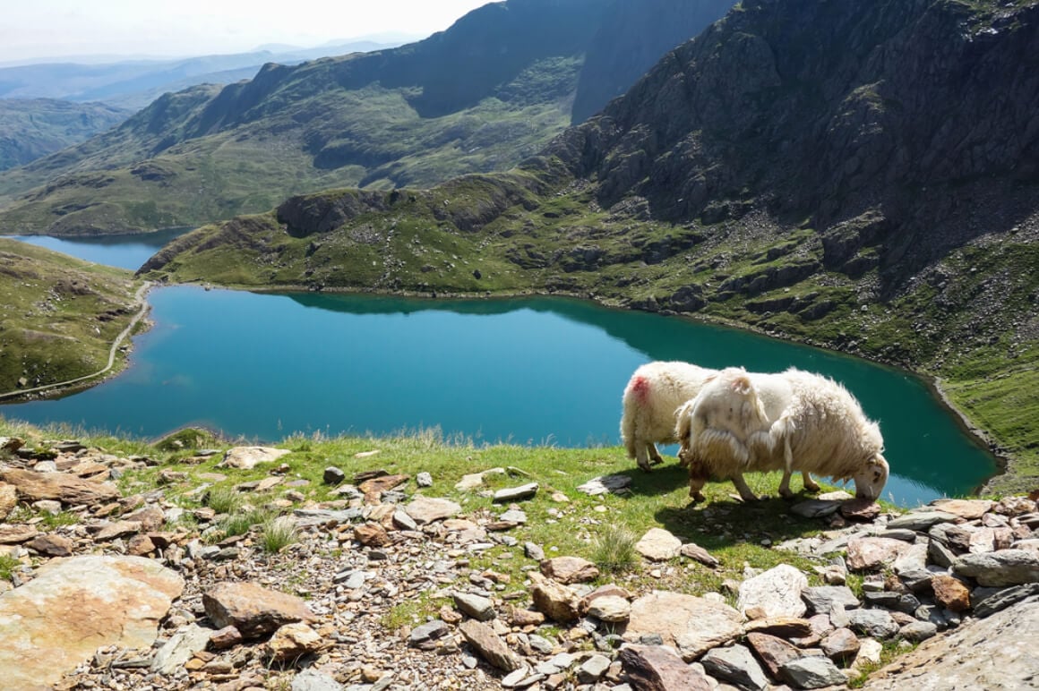 Snowdonia National Park North Wales