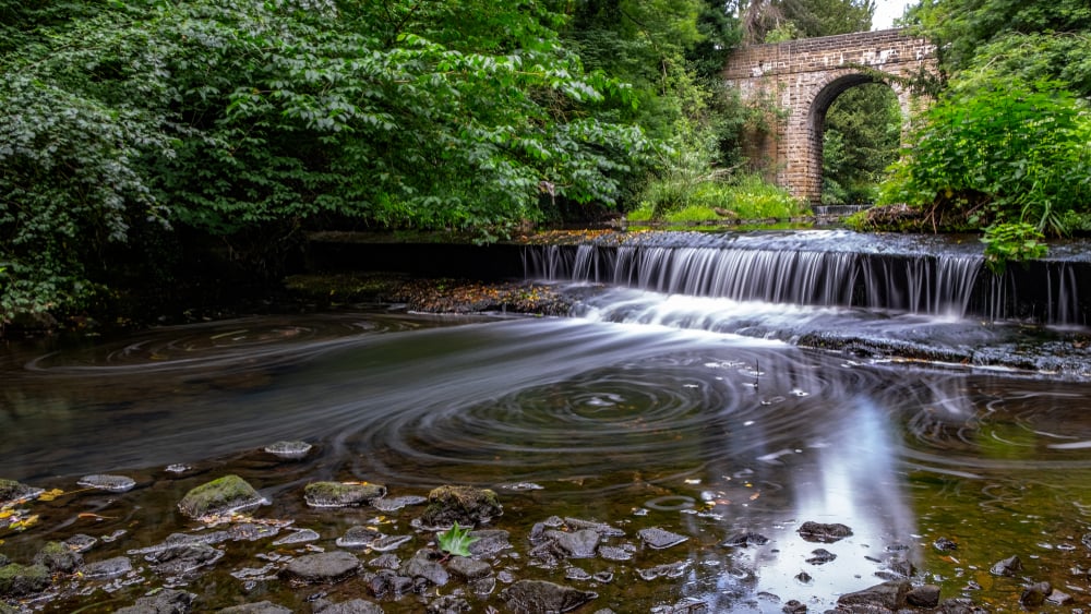 Jesmond Dene