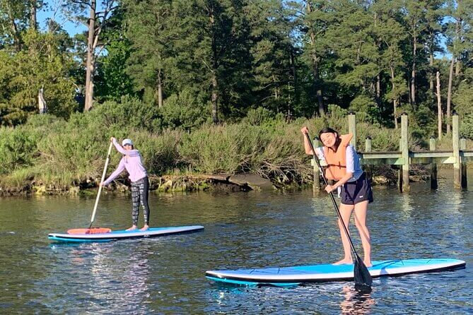 Sunset Stand Up Paddleboard Tour of Linkhorn Bay