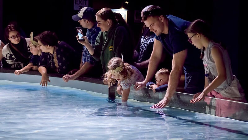 Virginia Aquarium and Marine Science Center