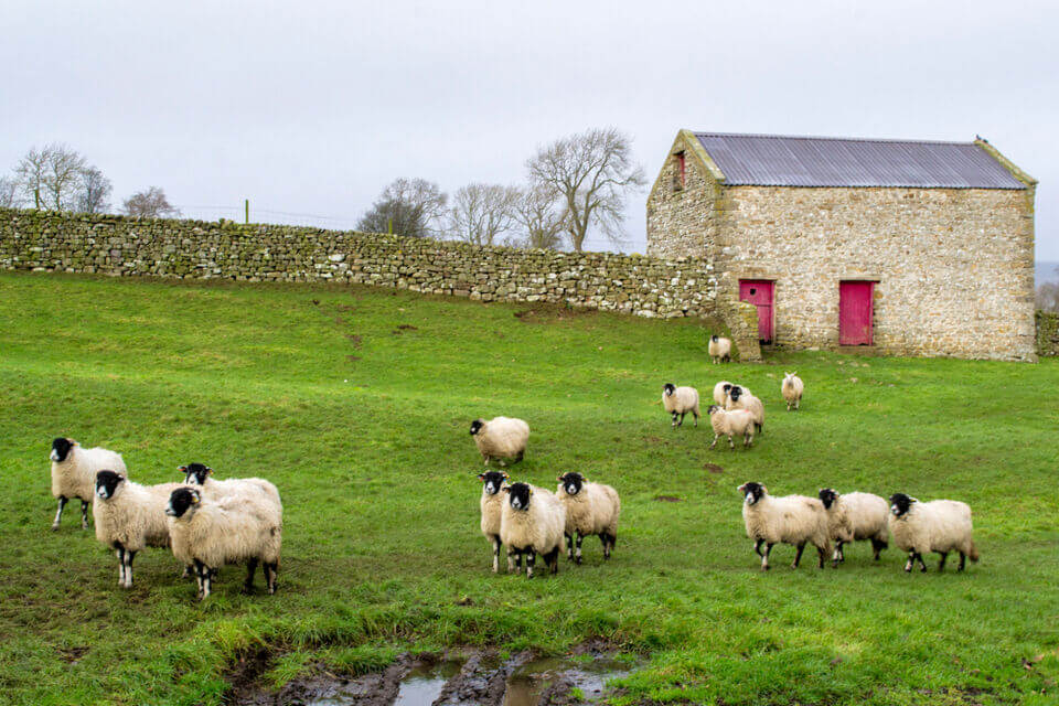 Explore the Yorkshire Dales