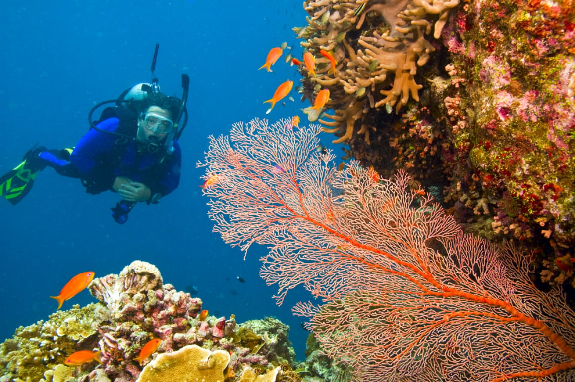 The Great Barrier Reef Australia