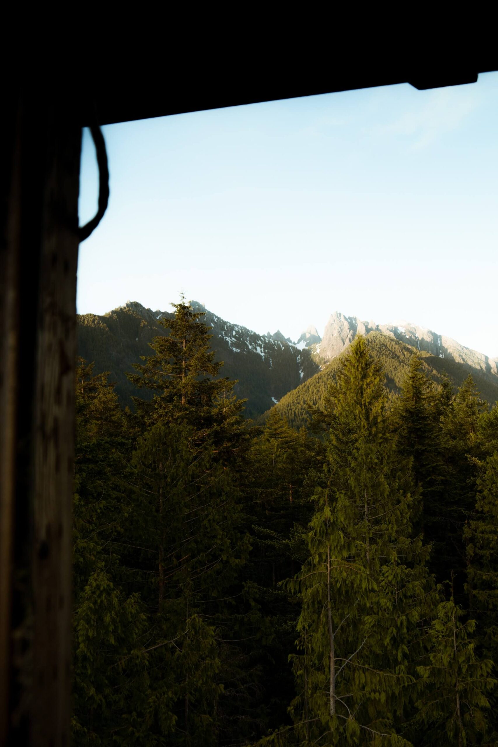 forested view from a lookout ona. day trip from seattle travel guide