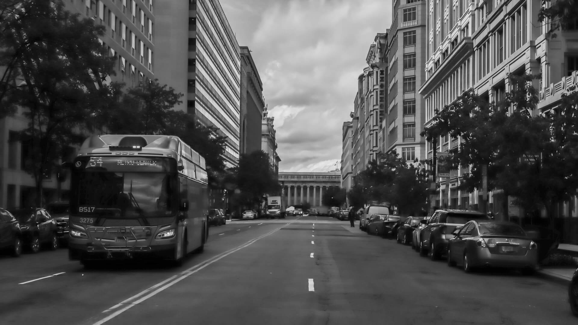 bus in washington dc travel guide