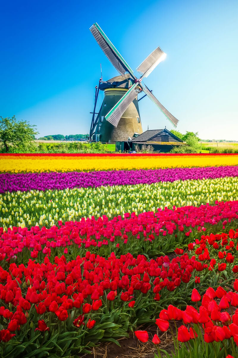 travel planner holland