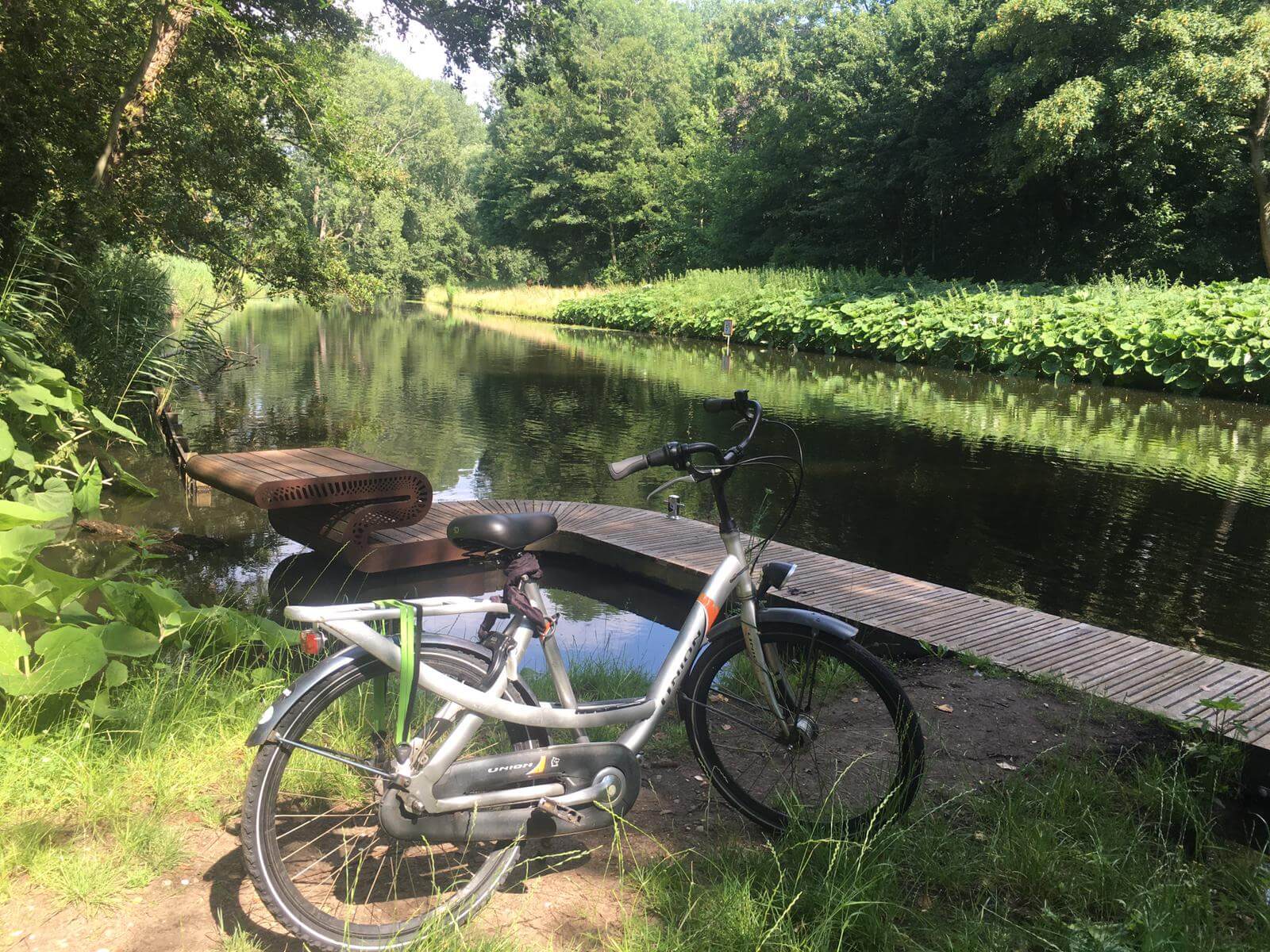 Bike parked half in the sun half in the shade in a green park under a tree by a lake