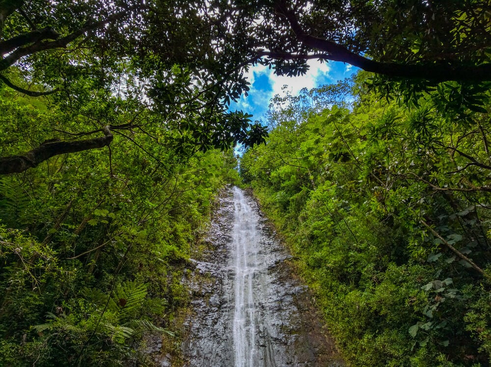 Manoa Falls