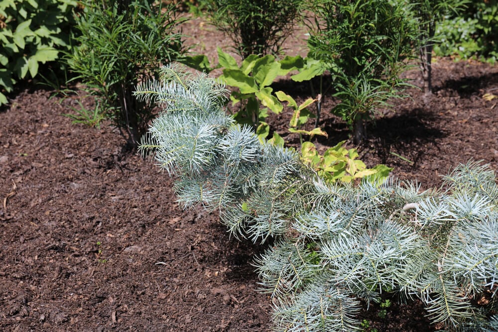 Boerner Botanical Gardens