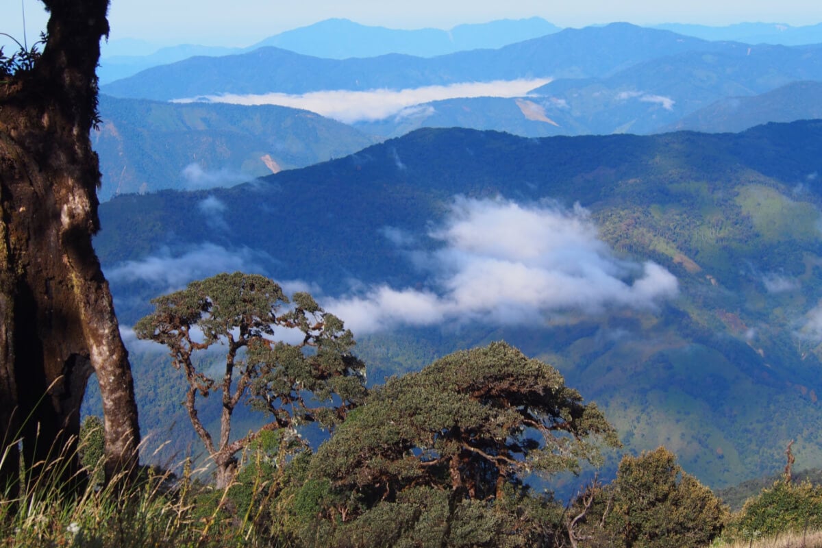 view from a mountain in the chin state myanmar