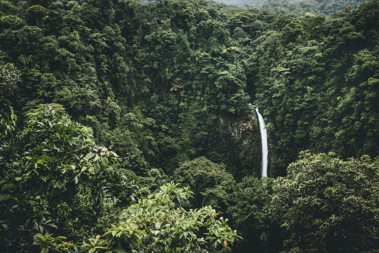 Central America