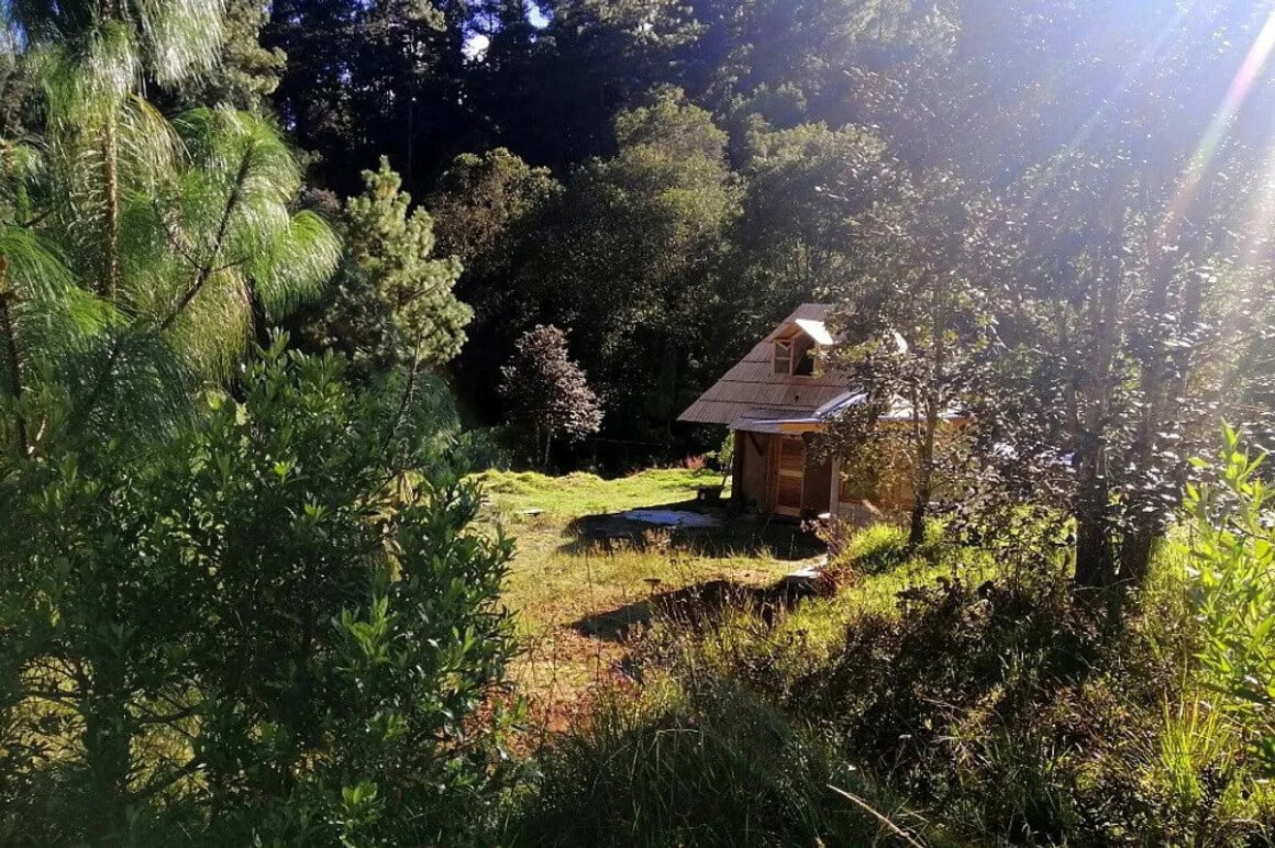 3 Day Rest in Solitude, Forest Retreat in Oaxaca